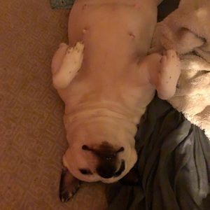 Meet your Posher, Ted